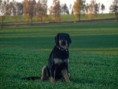 /album/fotogalerie-airis/253854173-326693545460956-1712954858477100496-n-jpg/