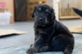 /album/fotogalerie-buddy/dsc1001-dxo-jpg/