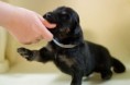 /album/fotogalerie-buddy/dsc0785-dxo-jpg/