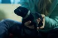 /album/fotogalerie-buddy/dsc0508-dxo-jpg/