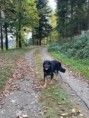 /album/fotogalerie-buddy/320258977-2345907748904458-6888866454996601418-n-jpg/