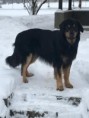 /album/fotogalerie-buddy/321817983-946053193025968-4522228070318292408-n-jpg/