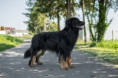 /album/fotogalerie-boss-ze-stareho-sumbarku/img-9411-jpg/