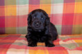 /album/fotogalerie-daisy/dsc01027-jpg/