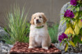 /album/fotogalerie-dustyn/dsc01624-jpg/