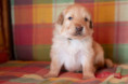 /album/fotogalerie-dustyn/dsc00971-jpg/